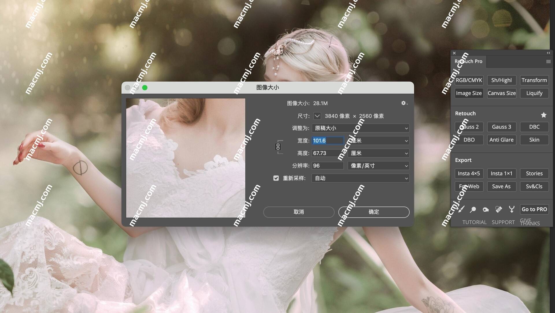 Photoshop磨皮插件：Pro Retouch Panel for Mac 支持ps2022缩略图