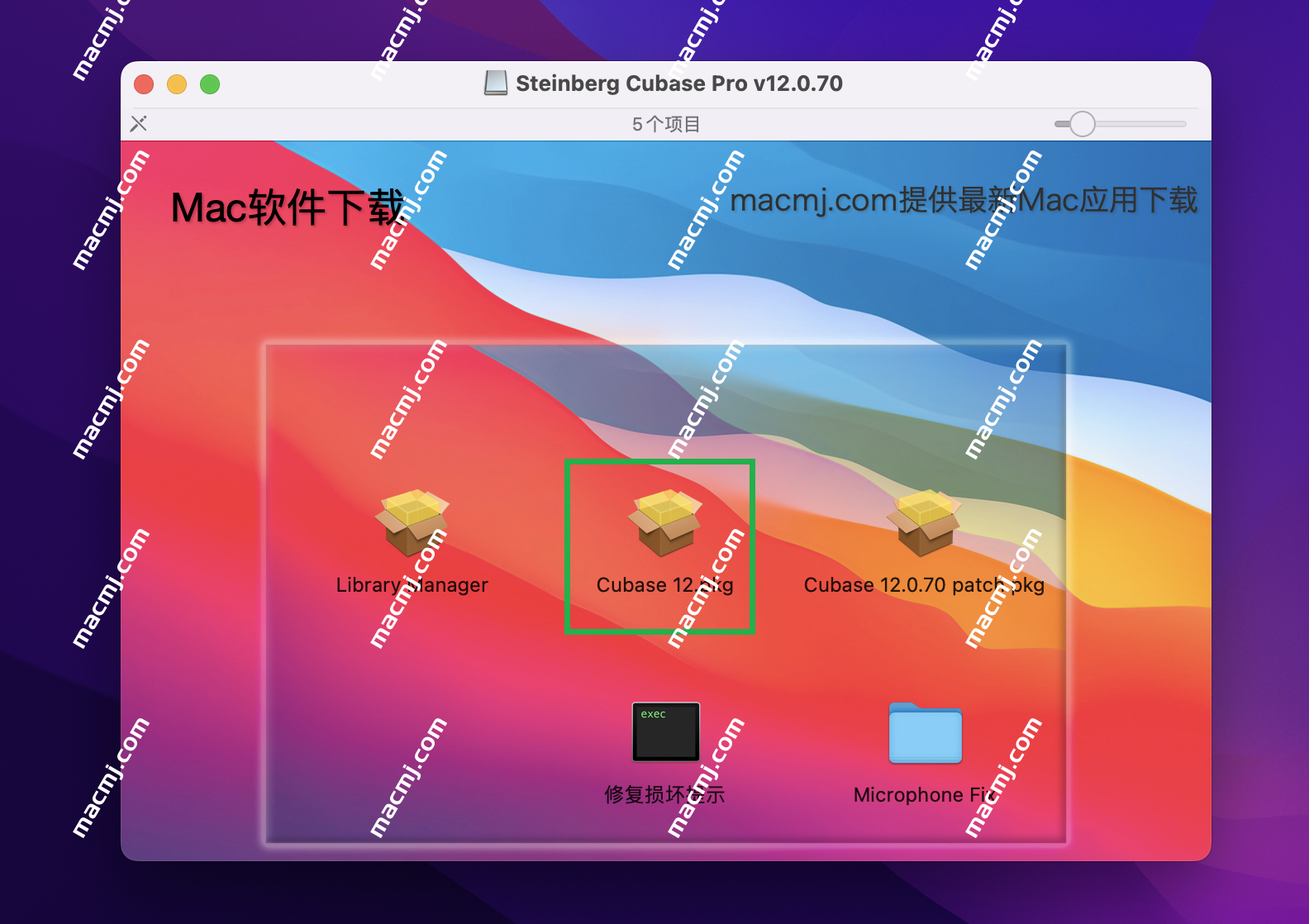 Steinberg Cubase Pro 13 for mac(多功能音乐创作软件)