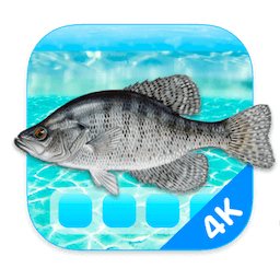 Aquarium 4K for Mac(4K高清屏幕保护工具)