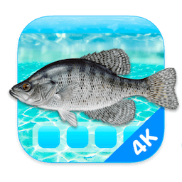 Aquarium 4K for Mac(4K高清屏幕保护工具)缩略图